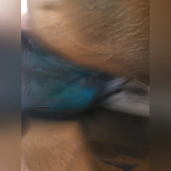 Gucci Vintage Ophidia Parfums Flap Clutch - Picture 16 of 16